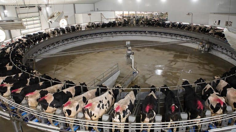 Dairy Learning Center - MVP Dairy LLC